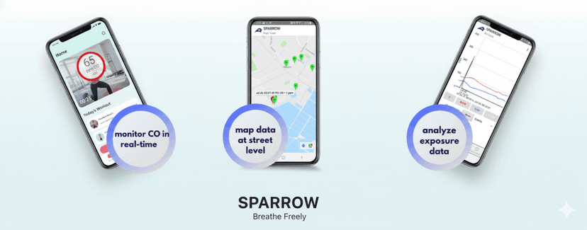Sparrow
